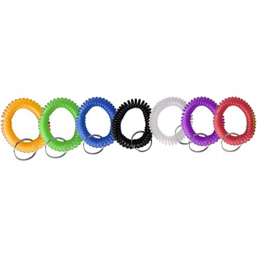 sansheng Pack of 70 Wrist Coil Keychain,Wrist Coil Key Ring,Stretchable Coil Keychain Bracelet,Plastic Coil Wrist Keychains7 Colours - BXJTOPWWL