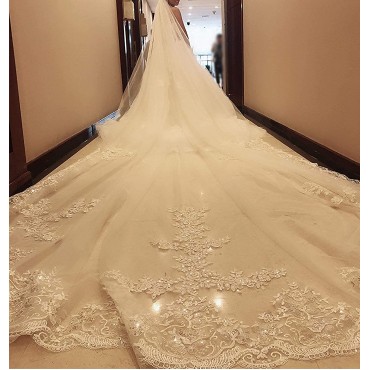 Faiokaver Wedding Veils Cathedral Long Floral Sequins Lace 5 Meters 1 Tier with Comb - BJTETQK77