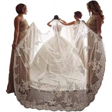 Faiokaver Wedding Veils with Sequins Lace 1 Tier Ivory for Bridal with Comb - BIAMBKGOP