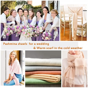 Womens Winter Scarf Cashmere Feel Pashmina Shawl Wraps Soft Warm Blanket Scarves for Women - B0XWGKI2F