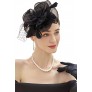 BABEYOND Women's Fascinator Hats Tea Party Fascinator Hat with Veil Kentucky Derby Headpiece for Cocktail Wedding - BYFSXPP04