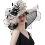 F FADVES Kentucky Derby Hat Wide-Brimmed Flounce Cocktail Tea Party Bridal Dress Church Flowers Feathers Hats - B314MZKBQ
