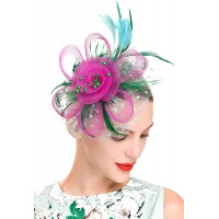 Fascinators Headband Tea Party Hats for Women Royal Wedding Hat Feather Mesh Hair Clip - BGWCKTJAF