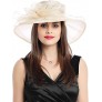 Prefe Women's Organza Church Kentucky Derby Hat Feather Veil Fascinator Bridal Tea Party Wedding Hat - BBFDNXQVY
