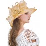 Z&X Organza Church Fascinator Kentucky Derby Hats for Women Flower Wedding Tea Party Hat Wide Brim Sun Hat - B8M2OH71C