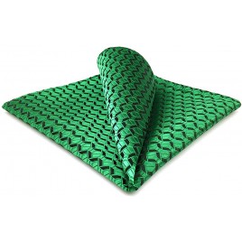 Shlax & Wing Solid Green Mens Pocket Square Silk Hanky 12.6 inches Large - BAE9UHNDL
