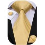 Dubulle Mens Paisely Silk Tie for Men Necktie and Pocket Square Set - B432ULKX5