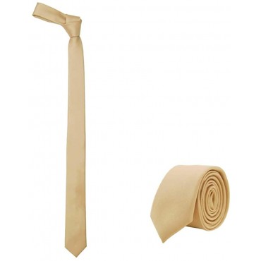 JNJSTELLA Men's Solid Skinny Necktie 2 Tie - BJWGZ10ML