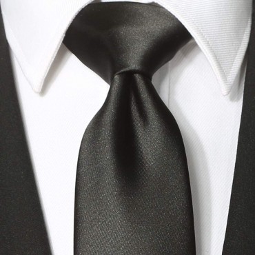 KissTies 4PCS Solid Ties Satin Tie Wedding Neckties + 1 Magnetic Box - BC06PLYDG