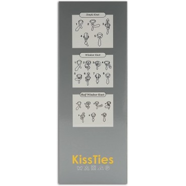 KissTies Mens Necktie Paisley Tie + Gift Box - BGD4D8RUX