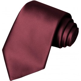 KissTies Solid Satin Tie Pure Color Necktie Mens Ties + Gift Box - BIY06PNJB