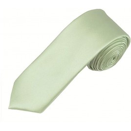 Solid Light Sage Green Skinny Men's Necktie - B202A8XGE