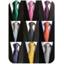 YanLen Lot 9 PCS Classic Men's Tie Necktie Woven JACQUARD Neck Ties - BTG9OE1AJ