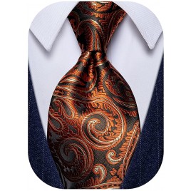 YourTies 3.15'' Men's Necktie Paisley Floral Silk Ties for Men Formal Business Party Tie - BM9SQ8OAK