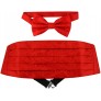 Cumberbund & BowTie RED Color PAISLEY Design Men's Cummerbund Bow Tie Set - BLOI3BRYC