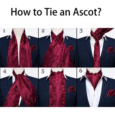 DiBanGu Cravat Ties For Men Plaids Paisley Ascot Scarf Tie with Pocket Square Cufflinks Wedding Party - B2BJPWD4W