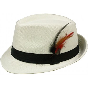 SILVERFEVER Fedora Hat with Feathers Gatsby Holiday Octoberfast Bavarian Alpine Trlbe Dress Up Hats - BX2CEKBJU