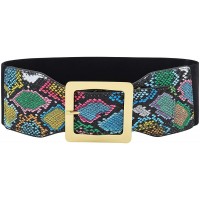 Ayliss Snakeskin Wide Elastic Belt for Women Dress Waist Belts PU Leather Stretchy Wide Waist Cinch Belt Waistband Costume - BKKRCY0QK