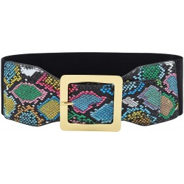 Ayliss Snakeskin Wide Elastic Belt for Women Dress Waist Belts PU Leather Stretchy Wide Waist Cinch Belt Waistband Costume - BEJD6NZSC
