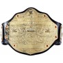 WWE Authentic Wear World Heavyweight Championship Commemorative Title Belt Multi Small - BM0EYB0CA